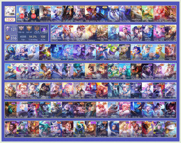 Acc VIP6525