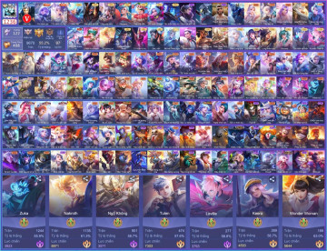 Acc VIP6960