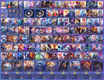 Acc VIP7194