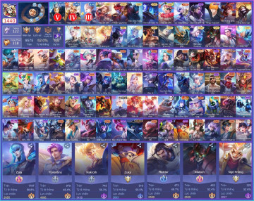 Acc VIP8076