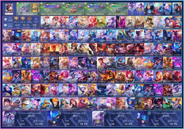Acc VIP8398